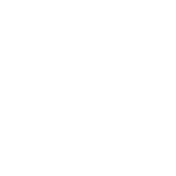DISPATCH WISE LLC LOGO